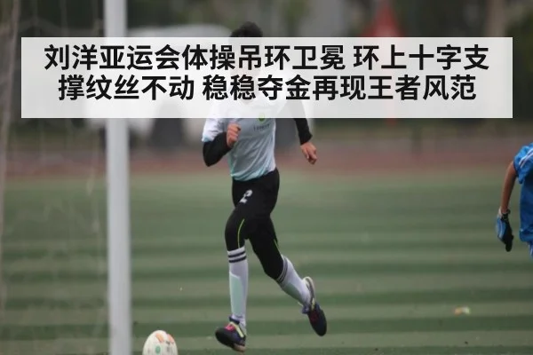 刘洋亚运会体操吊环卫冕 环上十字支撑纹丝不动 稳稳夺金再现王者风范 | kaiyun.com
